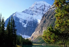 开云体育平台APP-凯尔特人B队爆冷魔术，哈里斯爆发神勇